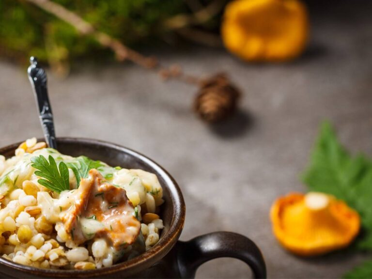 Talerz z daniem z kaszy. Obrazek w artykule Sos do kaszy. Przepis na pyszną i aromatyczną mieszankę z sosem do kaszy