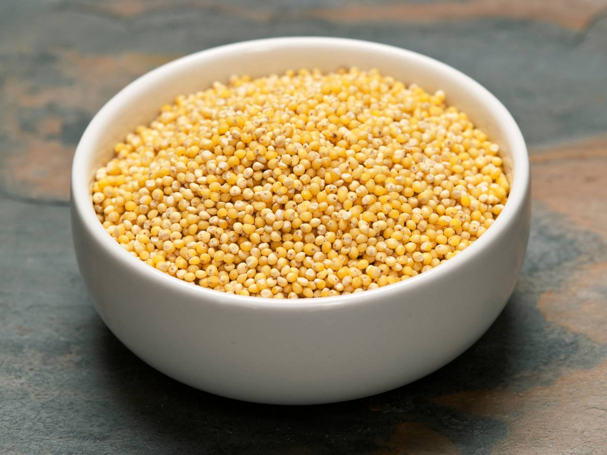 Biała miseczka na ciemnym tle z kaszą haglaną. Ilustracja do artykułu Sprawdź, kto nie powinien jeść kaszy jaglanej mimo jej prozdrowotnych właściwości